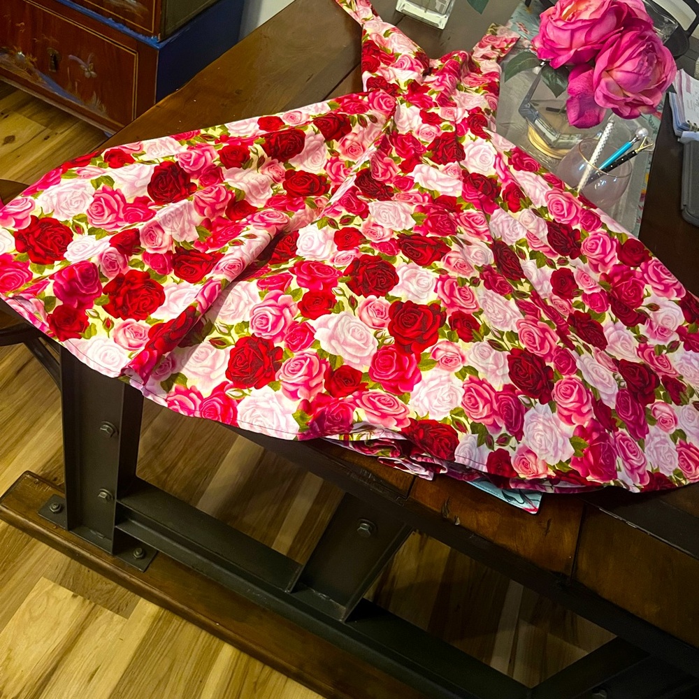 Heart of Haute Pin Up Sundress covered in Roses!